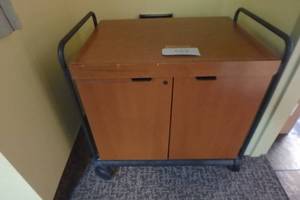 lot 559 image: Rolling cabinet