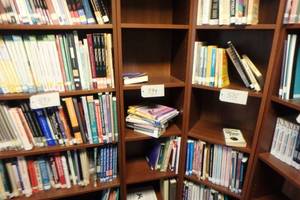 lot 594 image: Darkwood Bookcase