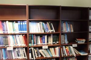 lot 598 image: Darkwood Bookcase