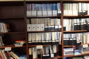 lot 600 image: Darkwood Bookcase