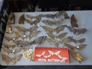 Butterflies