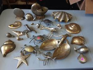 Shells & Sea Creatures