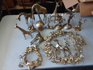 Giraffes, Monkeys & More