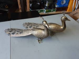 Pair Of Peacocks