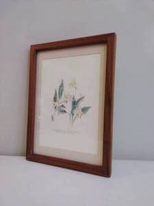 Framed Floral Print