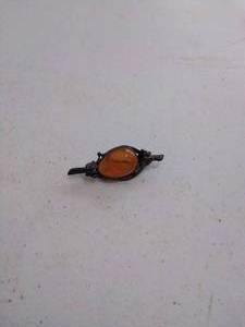 (Possibly Amber) Brooch