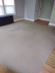 10 x 14 Wool Rug with Pad Liner