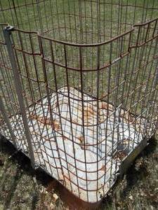 lot 9 image: Mesh Metal Pallet