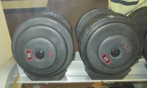 lot 24 image: (2) Free Weights (55#s)...