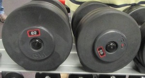 lot 26 image: (2) Free Weights (65#s)...