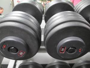 lot 29 image: (2) Free Weights (80#s)...