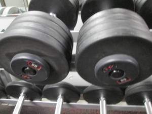lot 30 image: (2) Free Weights (85#s)...