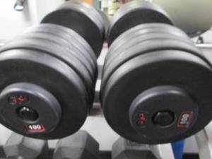 lot 33 image: (2) Free Weights (100#s)...