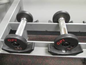 lot 34 image: (2) Free Weights (5#s)...