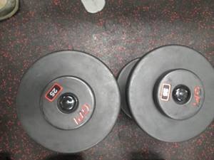 lot 38 image: (2) Free Weights (25#s)...