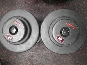 lot 39 image: (2) Free Weights (30#s)...