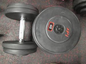 lot 41 image: (2) Free Weights (40#s)...