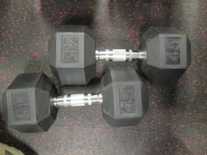 lot 42 image: (2) Free Weights (45#s)...