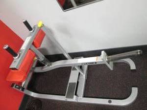 lot 55 image: Cybex Seated Calf, Plate Weight Uni...