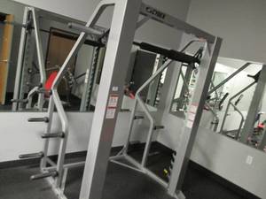lot 68 image: Cybex Smith Press (Model# 5341-90) ...
