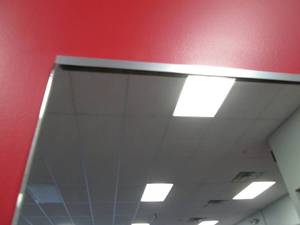 lot 85 image: 47 X 48 Section of Wall Mounted M...