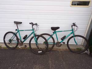 Pair of Bikes