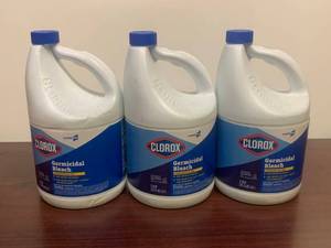 lot 53 image: Clorox Concentrated Bleach