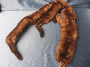 lot 42 image: Vintage Mink Collar
