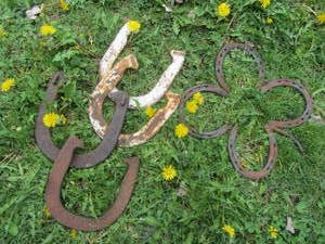 lot 66 image: Horse Shoes