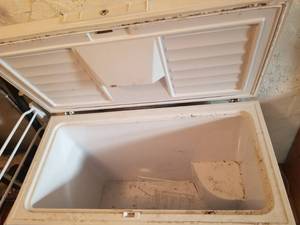 lot 28 image: Woods Freezer Chest