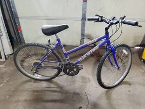 lot 88 image: Rand Trail Blazer Bicycle