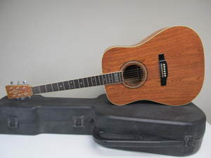 Beautiful ALVAREZ Model 5029 Acoustic Festival Guitar wHard Case