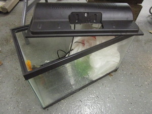 lot 795 image: AQUARIUM WITH SOME ACCESORIES