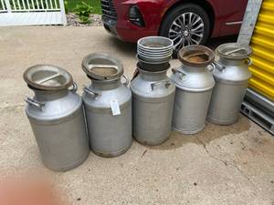 lot 832 image: MILK CANS WITH LIDS AND FLOWER POTS