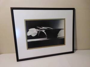 lot 160 image: Framed Flower Art