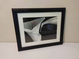 lot 161 image: Pair of Black & White Framed Flower Pieces