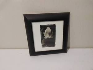 lot 162 image: Pair of Black & White Mini Framed Flower Pieces