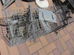 Live Trap, Mole & Gopher Traps