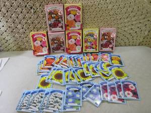 Assorted Flowers Seeds  CSB...