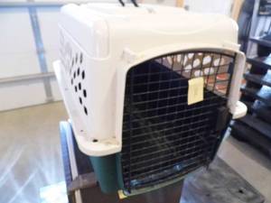 Kennel