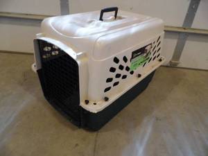 Kennel
