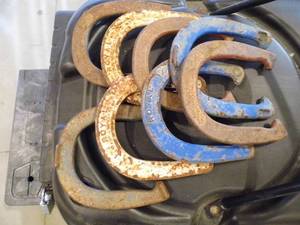 Horse Shoes