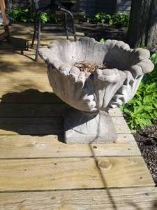 lot 55 image: Floral Concrete Planter