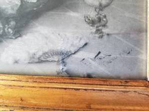 lot 25 image: Framed Print by Francesco Vinea Dreams of Love c. 1895