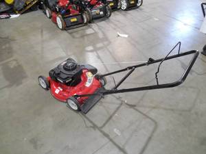 lot 46 image: Yard Machines 20 in. 125 cc OHV Briggs and Stratton Gas Walk Behind Push Mower