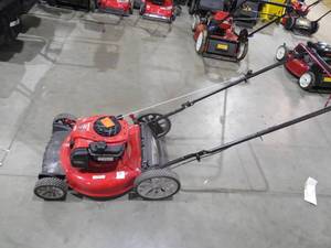 lot 47 image: 21 in. 140 cc 550ex Series Briggs & Stratton Gas Walk Behind Push Mower