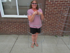 New TomatoPlantTree Garden Cages - New