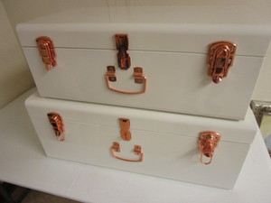 lot 322 image: BEAUTIFY STORAGE CASES