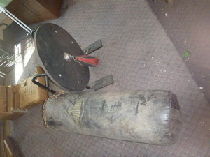 Punching Bag and Speed Bag