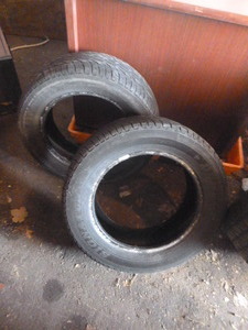 2 Dunlop Signature Tires